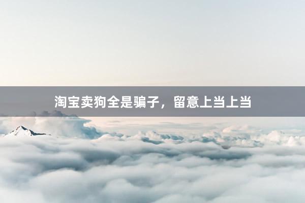 淘宝卖狗全是骗子,留意上当上当