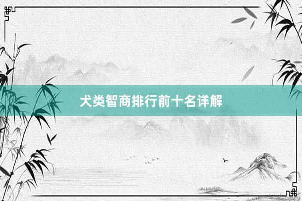 犬类智商排行前十名详解